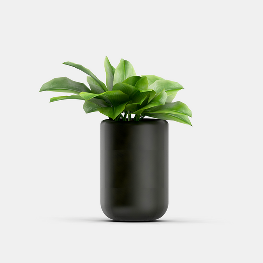 Black Outdoor Plants tob
