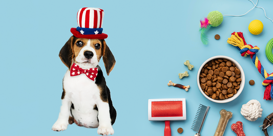 Nurturing Your Beloved Companions