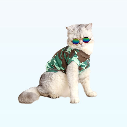 PurrfectPaw Fashion