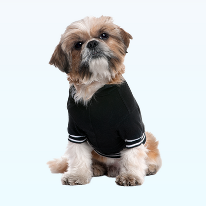 Doggy Trendy Tails Apparel